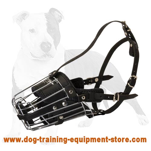 Professional Wire Basket Muzzle with Leather Padding for Dog Training and Daily Use