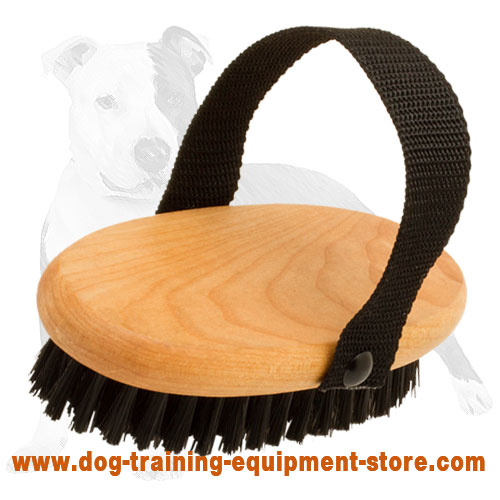 Bristle Dog Brush for Everyday Grooming