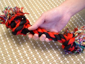 2-Knot Fiber Bone - Helps Keep Teeth Clean And Tartar Free!