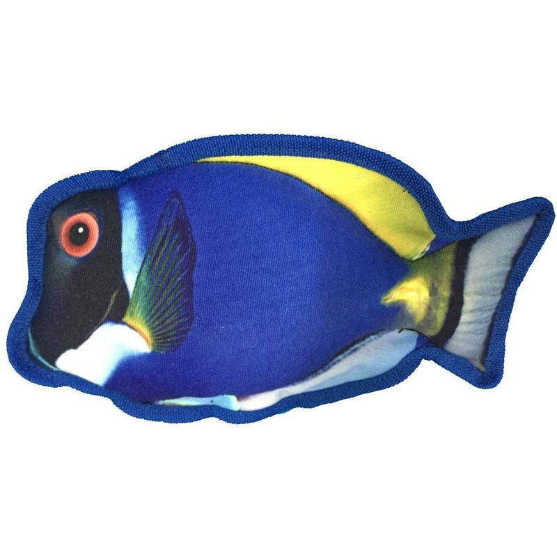 10" Tropical Blue Tang - Click Image to Close