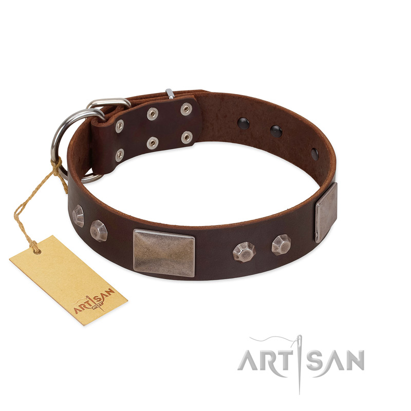 "Stone Stars" Stylish Handmade FDT Artisan Brown Leather dog Collar - Click Image to Close