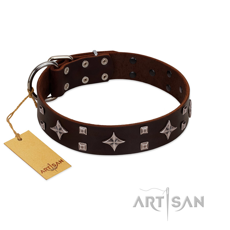 "Trendy Candy" FDT Artisan Brown Leather dog Collar Adorned with Stars and Tiny Squares