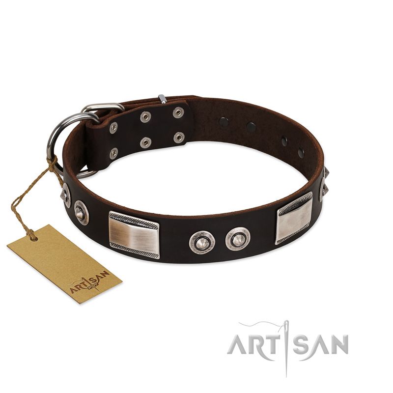 "Baller Status" FDT Artisan Brown Leather dog Collar Adorned with a Set of Chrome Plated Studs and Plates