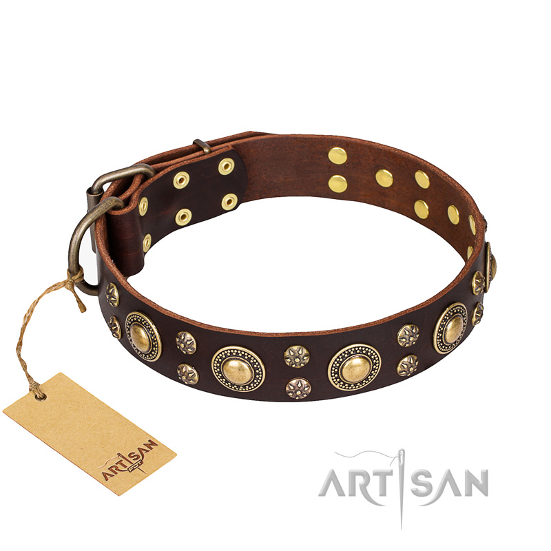 "Flower Melody" FDT Artisan Brown Leather dog Collar with Mixed Studs