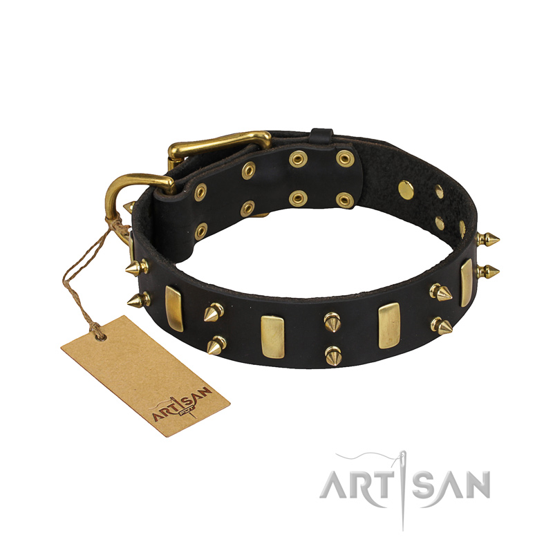 "Medieval Style" FDT Artisan Leather dog Collar with Brass Plated Plates and Spikes