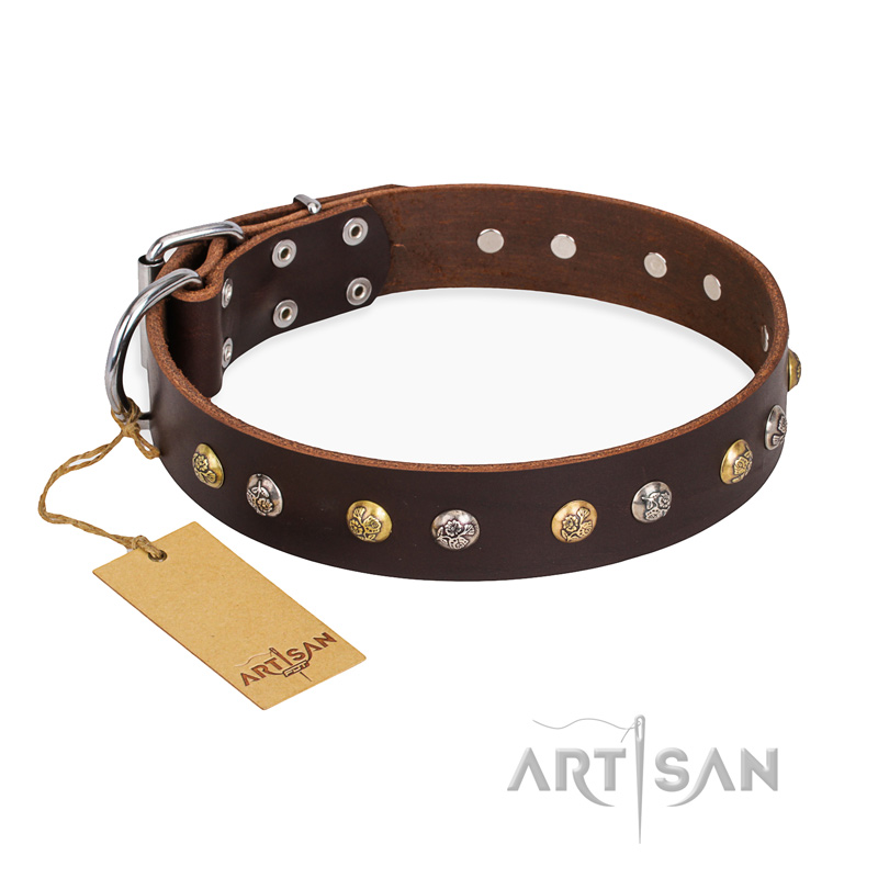"Golden"n"Silver Luxury" FDT Artisan Leather dog Collar with Engraved Studs