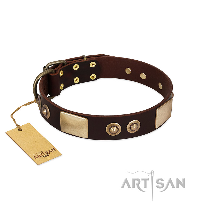 "Sense of Freedom" FDT Artisan Brown Leather dog Collar with Old Bronze-Plated Studs and Plates