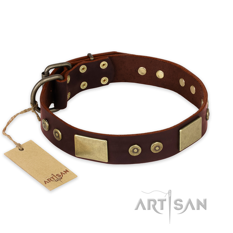 "Shining Armour" FDT Artisan Brown Leather dog Collar with Decorations - Click Image to Close