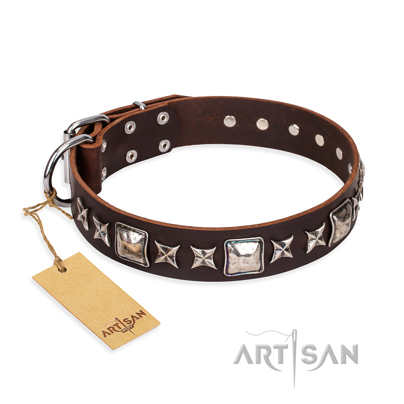 "Perfect Impression" FDT Artisan Brown Leather dog Collar with Silvery Square Studs