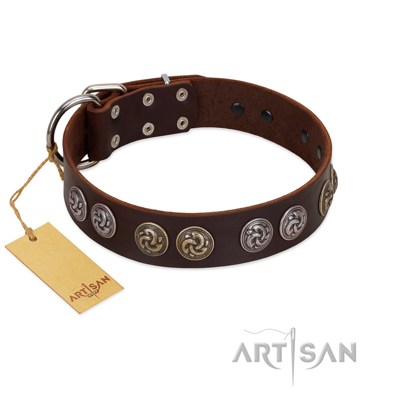 "Treasure Hunter" FDT Artisan Brown Leather dog Collar with Old-Bronze-like and Silvery Medallions
