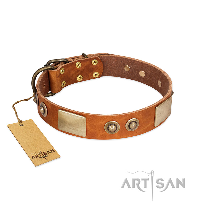 "Perfect Blend" FDT Artisan Tan Leather dog Collar 1 1/2 inch (40 mm) wide