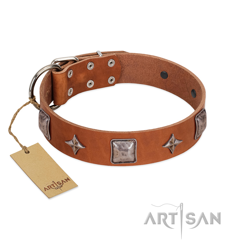 "Lucky Star" FDT Artisan Tan Leather dog Collar with Silver-Like Embellishments