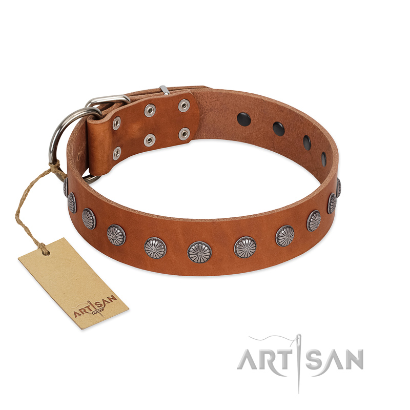 "Little Floret" Fashionable FDT Artisan Tan Leather dog Collar with Silver-Like Adornments