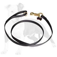 2 ply nylon dog leash for tracking