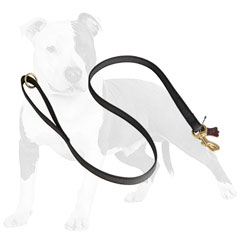 Reliable nylon dog leash