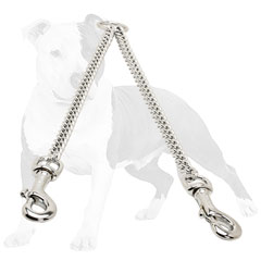 Smoothly polished dog coupler