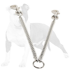 Steel chrome plated dog walking leash