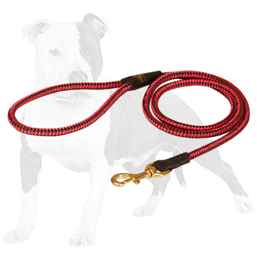 Easy controlling nylon cord dog leash