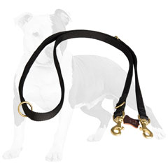 All weather police nylon dog leash