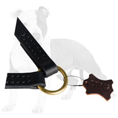 Leather dog leash with brass O-ring
