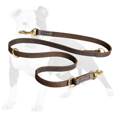 Walking and Training Leather Dog Leash