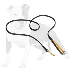 Soft to touch leather dog leash