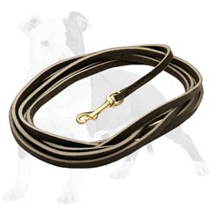 Strong leather dog leash