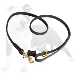 Durable walking leather dog leash