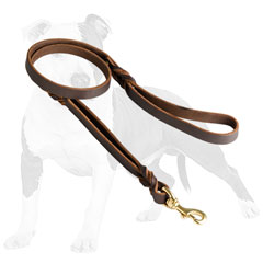 Everyday leather dog leash with strong hardware