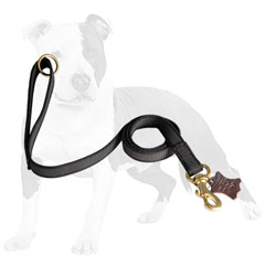 Strong nylon dog leash with brass hardware