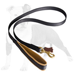 Comfortable nylon dog leash