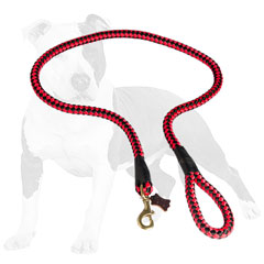 Adjustable nylon dog leash