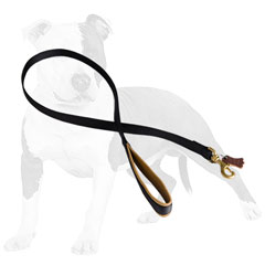 Water-resistant nylon dog leash