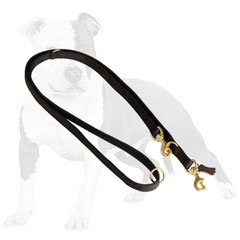 Durable nylon dog leash with brass snap   hook and O-ring