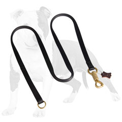 Durable nylon dog leash with brass smart lock