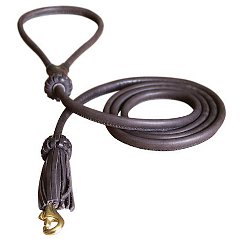 Braided leather dog leash with handle