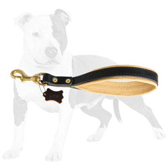 Comfortable Leather Short Leash