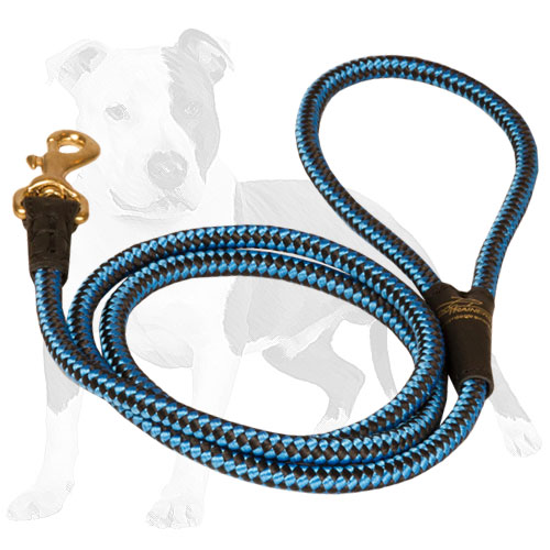 Durable nylon cord dog leash