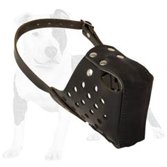 Professional agitation training muzzle