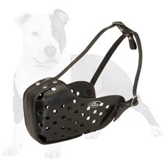 Easy dog training with this muzzle