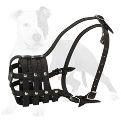 Pretty leather basket muzzle