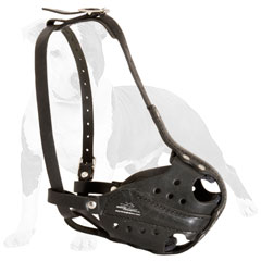 Leather Canine Muzzle with Adjustable Straps