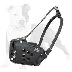 Comfy leather dog muzzle padded on nose