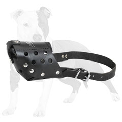 Perfectly aired leather dog muzzle for     daily use
