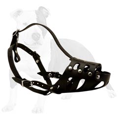 Perfect for training and daily walks muzzle