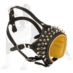 Nappa leather padded dog muzzle