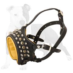 Royal looking leather muzzle for your dog's daily wearing