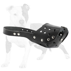 Softly padded leather dog muzzle