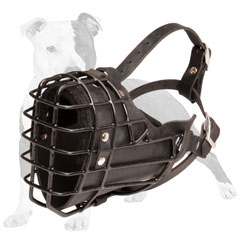 Winter Dog Muzzle