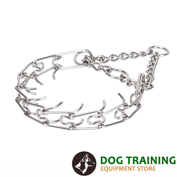 Corrosion resistant stainless steel O-ring on prong collar